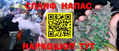 дживик Гатчина