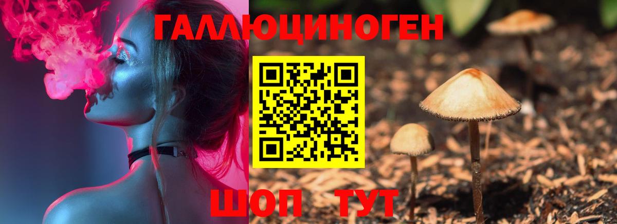 Галлюциногенные грибы GOLDEN TEACHER Гагарин