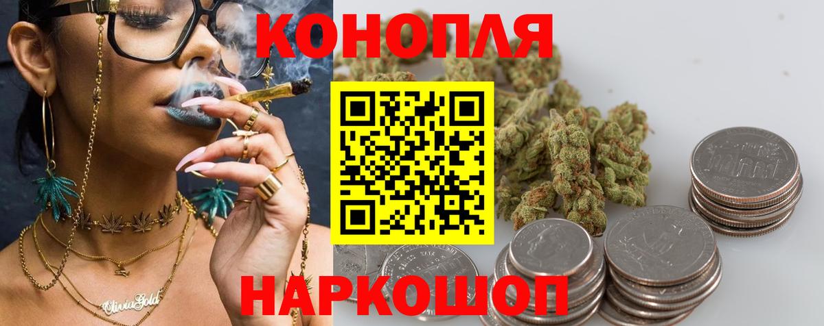 Канабис ГИДРОПОН Гагарин